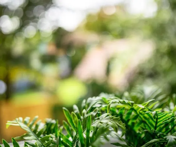 Erholung Pur Nahe Krankenhaus & Uni Mit Parkplatz! Appartamento